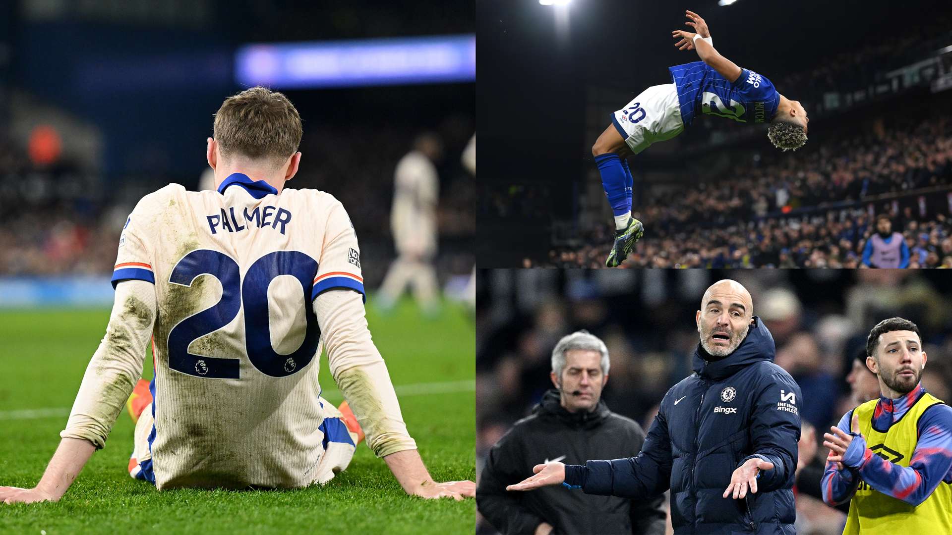 普通人显然 普通人显然